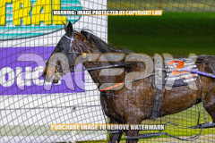 2026_Pacepix_GP18082026_Race5_SportingGrace_WIN_WEB-22