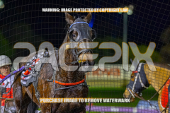 2026_Pacepix_GP18082026_Race5_SportingGrace_WIN_WEB-24