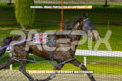 2026_Pacepix_GP18082026_Race5_SportingGrace_WIN_WEB-4