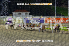 2026_Pacepix_GP18082026_Race5_SportingGrace_WIN_WEB-9