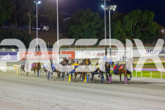 2026_Pacepix_GP30012026_RACE5_StarCasino_WIN_WEB-1