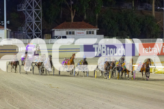 2026_Pacepix_GP30012026_RACE5_StarCasino_WIN_WEB-4