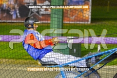 2026_PACEPIX_GP22092026_RACE5_StarOfOrion_WIN_WEB-13