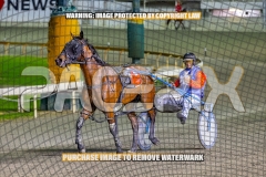 2026_PACEPIX_GP22092026_RACE5_StarOfOrion_WIN_WEB-14