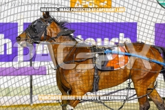 2026_PACEPIX_GP22092026_RACE5_StarOfOrion_WIN_WEB-16
