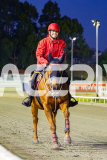 2026_PACEPIX_GP31032026_RACE5_SugaDaddy_WIN_WEB-1