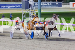2026_PACEPIX_GP31032026_RACE5_SugaDaddy_WIN_WEB-4