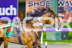 2026_PACEPIX_GP31032026_RACE5_SugaDaddy_WIN_WEB-7