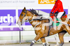 2026_PACEPIX_GP31032026_RACE5_SugaDaddy_WIN_WEB-9