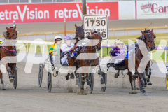 RACE 5 - Sugar Delight