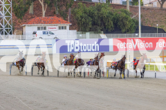 2025_PACEPIX_GP16122025_RACE5_SugarDelight_WIN_WEB-1
