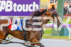 2025_PACEPIX_GP16122025_RACE5_SugarDelight_WIN_WEB-11