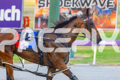 2025_PACEPIX_GP16122025_RACE5_SugarDelight_WIN_WEB-12