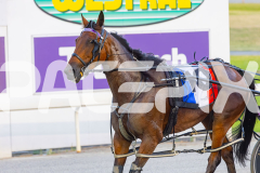 2025_PACEPIX_GP16122025_RACE5_SugarDelight_WIN_WEB-14