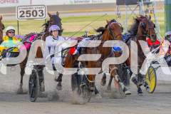 2025_PACEPIX_GP16122025_RACE5_SugarDelight_WIN_WEB-4