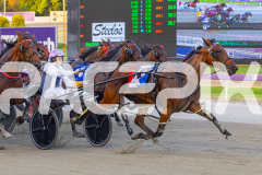 2025_PACEPIX_GP16122025_RACE5_SugarDelight_WIN_WEB-6
