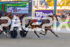2025_PACEPIX_GP16122025_RACE5_SugarDelight_WIN_WEB-7