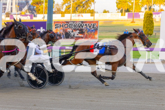 2025_PACEPIX_GP16122025_RACE5_SugarDelight_WIN_WEB-8