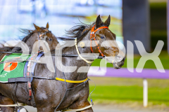2025_PACEPIX_GP29042025_Race5_SundancerRainbow_WIN_WEB-12