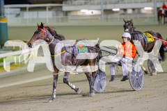 2025_PACEPIX_GP29042025_Race5_SundancerRainbow_WIN_WEB-13