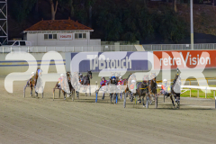 2025_PACEPIX_GP29042025_Race5_SundancerRainbow_WIN_WEB-2