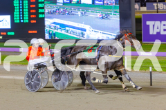 2025_PACEPIX_GP29042025_Race5_SundancerRainbow_WIN_WEB-8