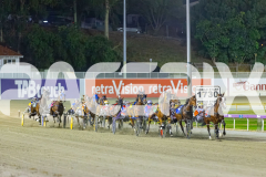 2025_PACEPIX_GP19122025_RACE5_TheIronDuke_WIN_WEB-1