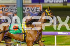 2025_PACEPIX_GP19122025_RACE5_TheIronDuke_WIN_WEB-11
