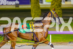 2025_PACEPIX_GP19122025_RACE5_TheIronDuke_WIN_WEB-12