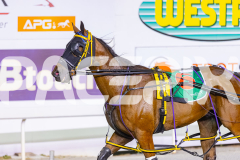2025_PACEPIX_GP19122025_RACE5_TheIronDuke_WIN_WEB-15