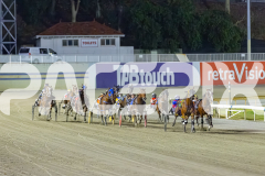 2025_PACEPIX_GP19122025_RACE5_TheIronDuke_WIN_WEB-2