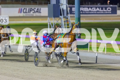 2025_PACEPIX_GP19122025_RACE5_TheIronDuke_WIN_WEB-5