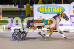 2025_PACEPIX_GP19122025_RACE5_TheIronDuke_WIN_WEB-9