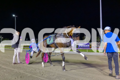 RACE 5 - Thelittle Master