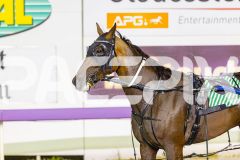 2025_PACEPIX_GP23012026_Race5_ThelittleMaster_WIN_WEB-12