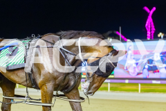 2025_PACEPIX_GP23012026_Race5_ThelittleMaster_WIN_WEB-15