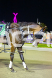 2025_PACEPIX_GP23012026_Race5_ThelittleMaster_WIN_WEB-17