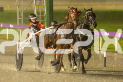 2025_PACEPIX_GP17062025_RACE5-THISTIMEJACKO_WIN_WEB-1