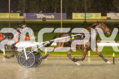 2025_PACEPIX_GP17062025_RACE5-THISTIMEJACKO_WIN_WEB-7