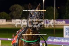 RACE 5 - Tsunami Wave