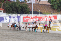 2026_PACEPIX_GP03032026_Race5_UltimateTess_WEB_-1