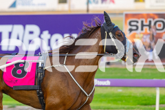 2026_PACEPIX_GP03032026_Race5_UltimateTess_WEB_-17