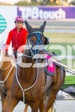 2026_PACEPIX_GP03032026_Race5_UltimateTess_WEB_-19
