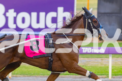 2026_PACEPIX_GP03032026_Race5_UltimateTess_WEB_-4