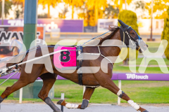 2026_PACEPIX_GP03032026_Race5_UltimateTess_WEB_-8