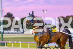 2025_PACEPIX_GP28102025_Race5_WatchMeWave_WIN_WEB-23