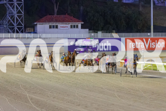 2025_PACEPIX_GP14102025_Race5_WatchMeWave_WIN_WEB-1