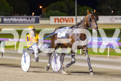 2025_PACEPIX_GP07112025_RACE5_Waverider_WIN_WEB-28