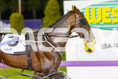 2025_PACEPIX_GP07112025_RACE5_Waverider_WIN_WEB-29