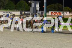 2023_HCC_GP08082025_Race5_Wishing-Belle_WEB-2
